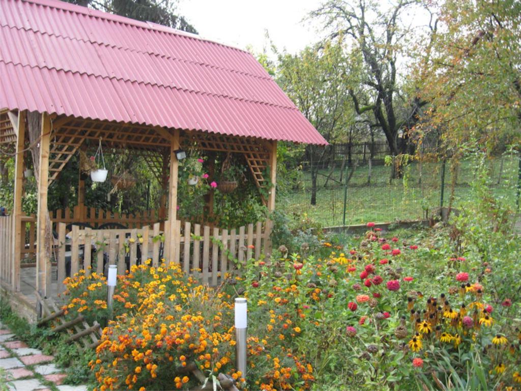 Готель Casa Sabina Pucioasa Екстер'єр фото